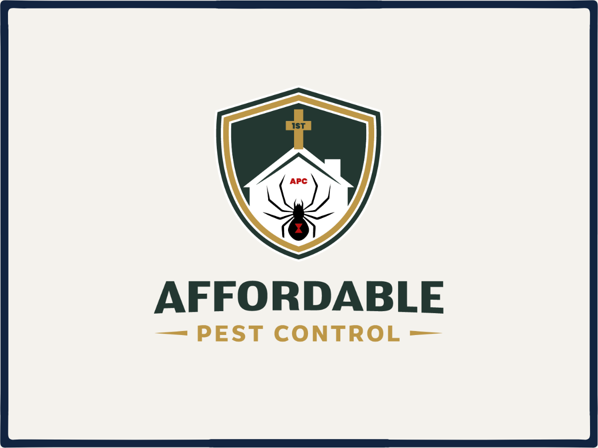 Affordable Pest Control: Website Build and Local SEO Strategy